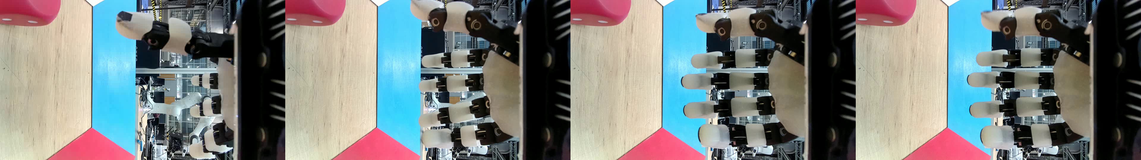 Wrist-view SAM 3 initialization clip
