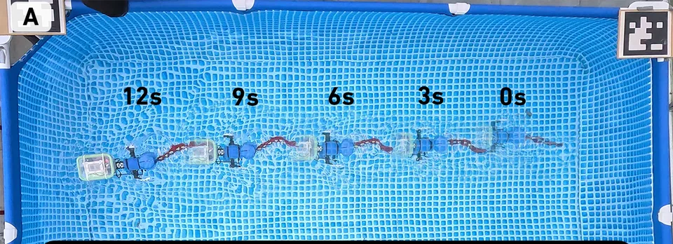 Overview figure: Simple Models, Real Swimming: Digital Twins for Tendon-Driven Underwater Robots