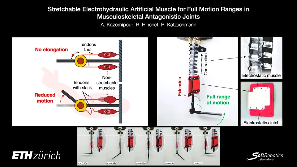 Overview figure: Stretchable Electrohydraulic Artificial Muscle for Full Motion Ranges in Musculoskeletal Antagonistic Joints