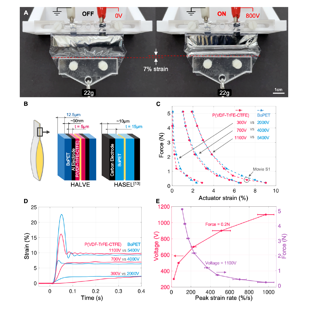 HALVE actuator force, strain, response, and strain-rate characterization