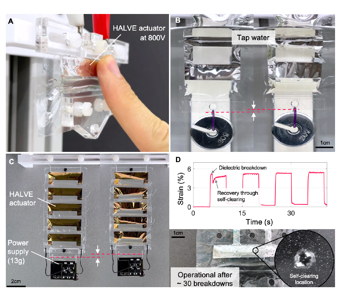 HALVE actuator touch safety, waterproof behavior, power supply lifting, and self-clearing
