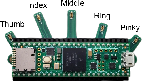Teensy MCU and finger-branch interface board