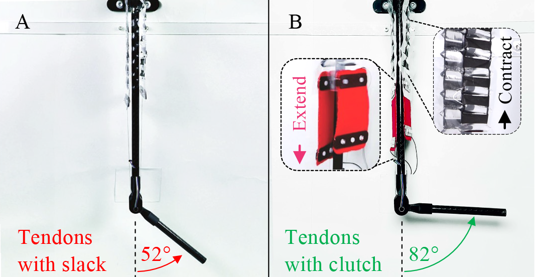 Comparison of joint range of motion with and without clutches