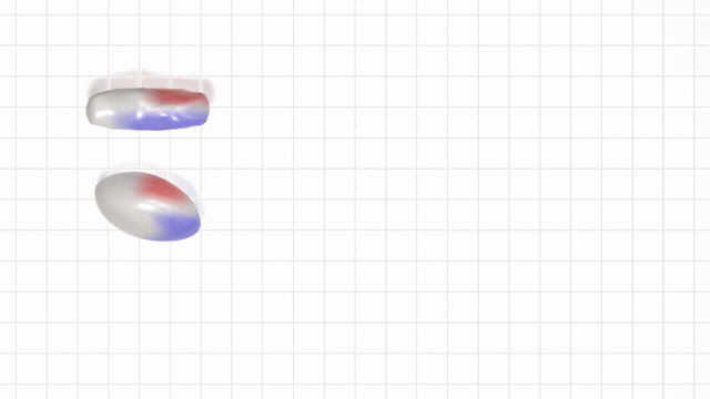 Basis-function versus neural-field swimmer animation