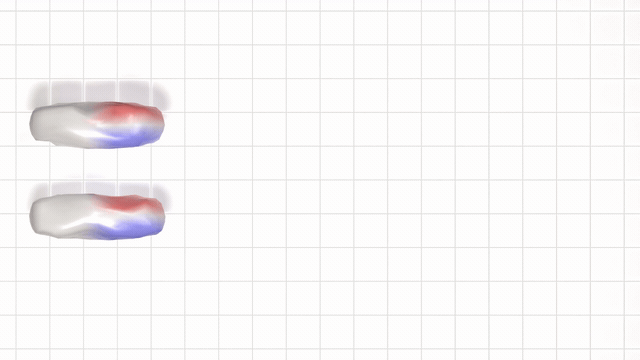 Co-optimized versus sequential swimmer animation