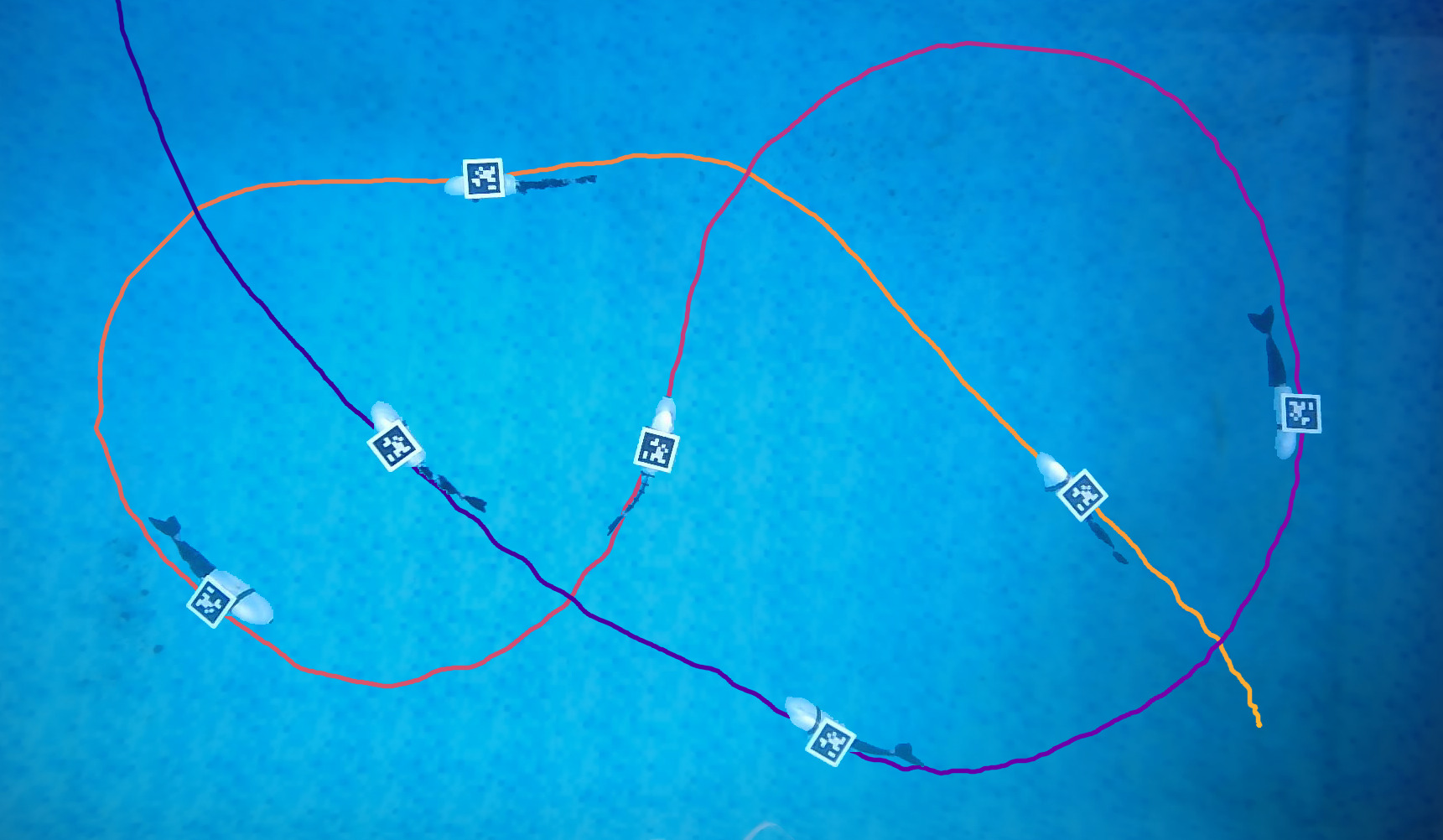 Overhead long-exposure of an outdoor pool: the robotic fish shown at seven instants along the figure of eight it swam, with its full tracked path traced behind it, colored from amber at the start through to deep blue at the end, as it pursued a target moved by hand.