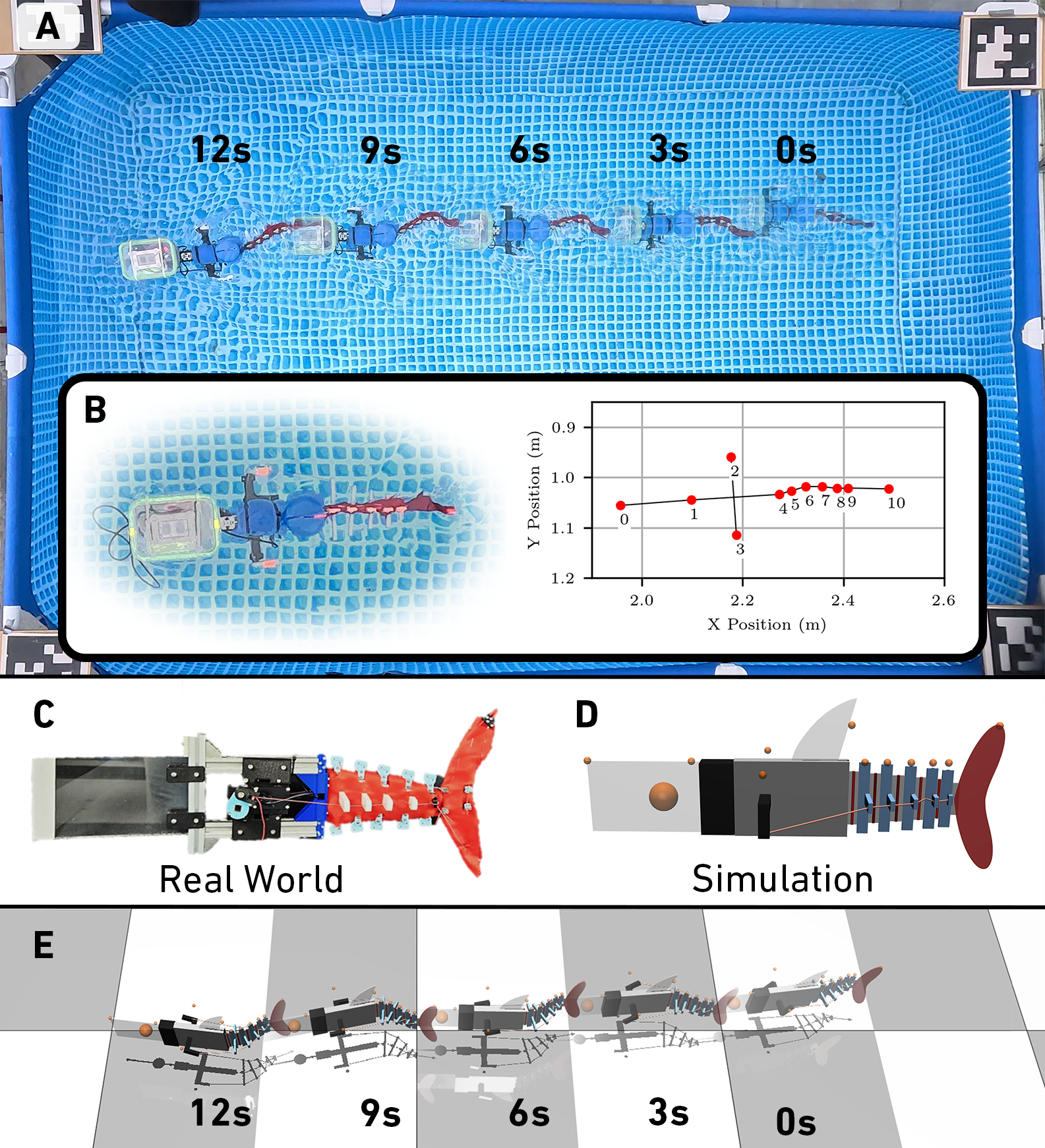 Overview of the tendon-driven fish robot and its simulation environment.